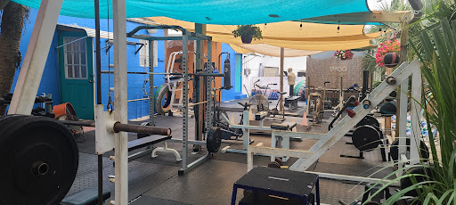 Gym «Beach Bods Gym», reviews and photos, 6706 Gulf Blvd, St Pete Beach, FL 33706, USA