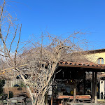 Photo n°3 de l'avis de andrea.a fait le 28/01/2024 à 15:35 sur le  Fienile Fluò à Bologna