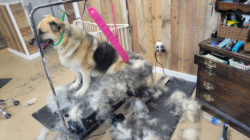 The Pink Paw Pet Spa LLC