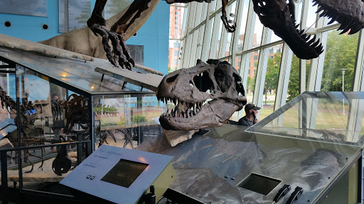 Imax Theater «IMAX at the Maryland Science Center», reviews and photos, 601 Light St, Baltimore, MD 21230, USA