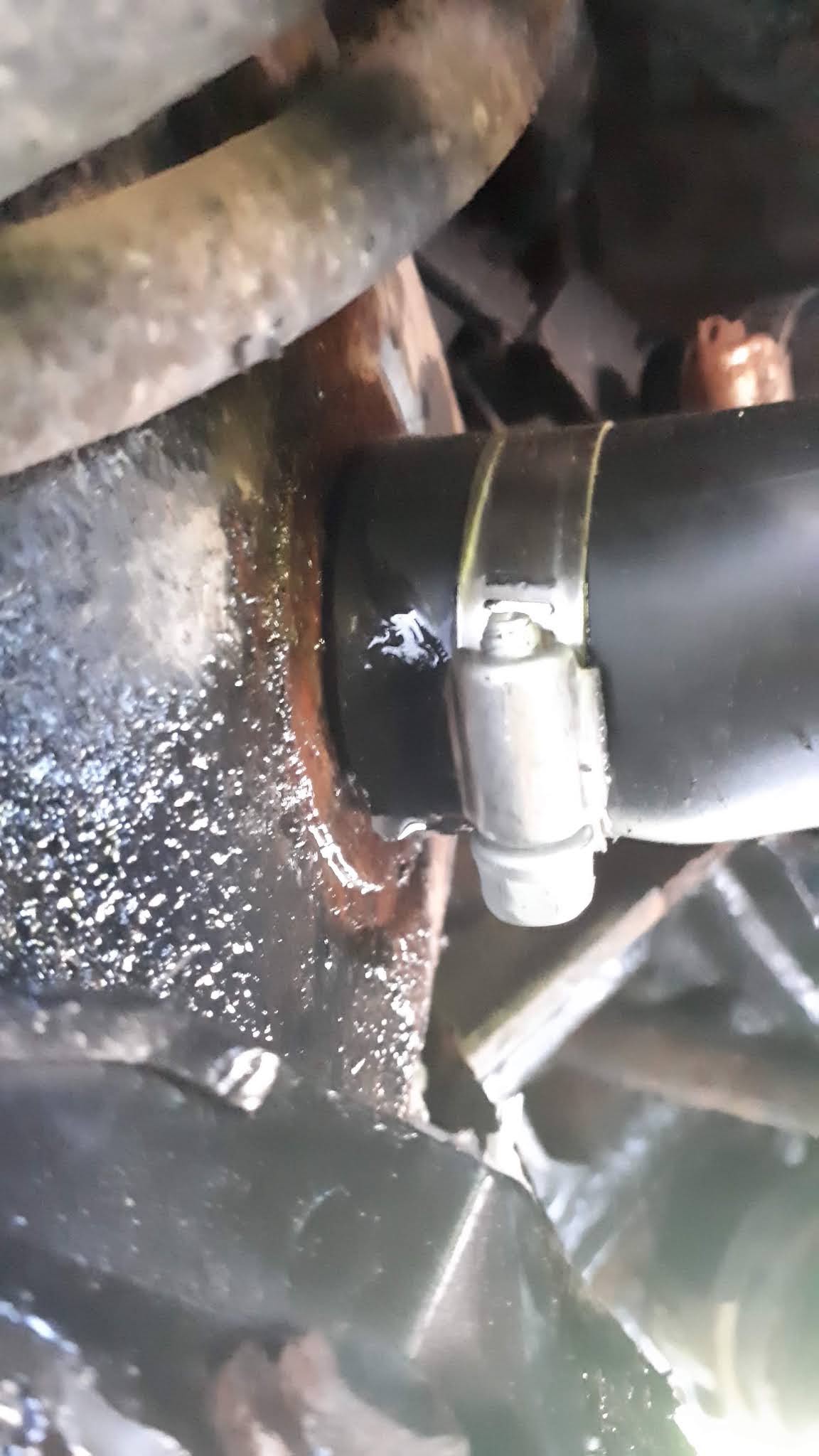 Photo n° 1 de l'avis de Micheli.h fait le 23/07/2020 à 18:22