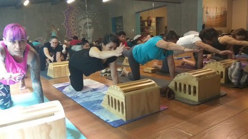 Árbol de Yoga