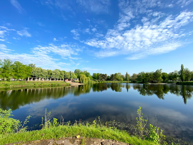 Rezensionen über Stadtpark Rotehorn in Magdeburg - Fahrradgeschäft