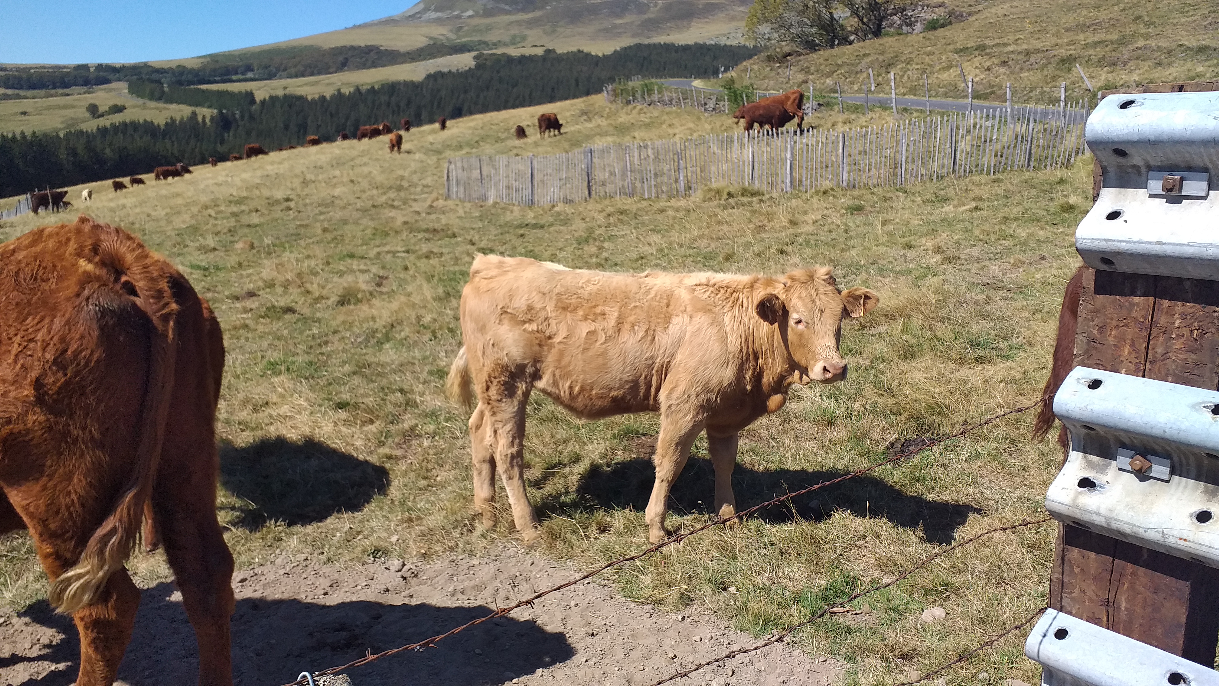 Photo n° 3 de l'avis de Jean.a fait le 15/10/2020 à 12:24