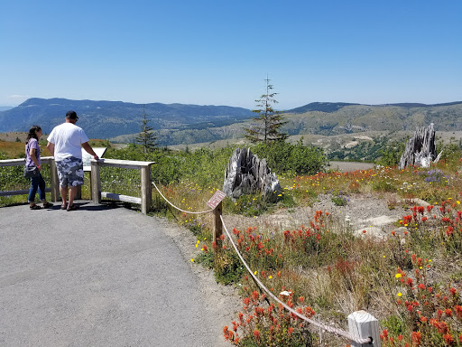 National Reserve «Mount St. Helens National Volcanic Monument», reviews and photos, 3029 Spirit Lake Hwy, Castle Rock, WA 98611, USA