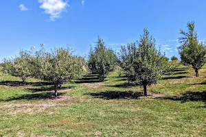 Union Orchard image