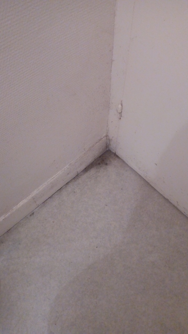 Photo n° 4 de l'avis de Afif.h fait le 15/01/2020 à 20:51