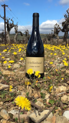Domaine d'Archimbaud à Saint-Saturnin-de-Lucian