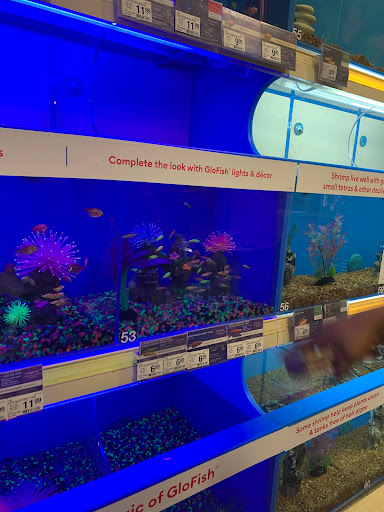 Pet Supply Store «PetSmart», reviews and photos, 5873 Spout Springs Rd, Flowery Branch, GA 30542, USA