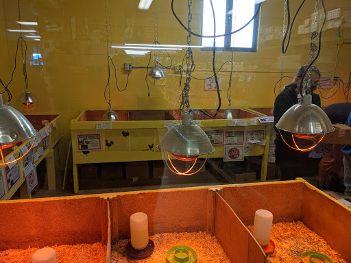 Animal Feed Store «Burns Feed Store», reviews and photos, 29215 SE Orient Dr, Gresham, OR 97080, USA