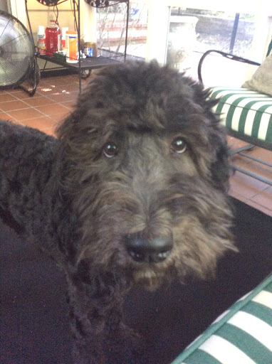 Attorney «David G. Sadler Attorney at Law», reviews and photos