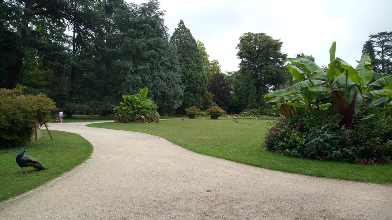 Photo n° 3 de l'avis de Cherif.o fait le 17/08/2018 à 12:11