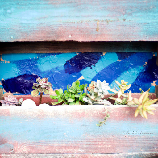 Coffee Shop «Island Roasters Coffee Company», reviews and photos, 394 N Causeway, New Smyrna Beach, FL 32169, USA