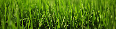 Smiley's Lawn & Tractor Service LLC