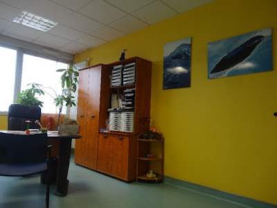 Docteur Cécile Tessier (ex Forveille) à Chambray-lès-Tours