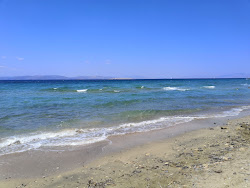 Kamares beach'in fotoğrafı imkanlar alanı