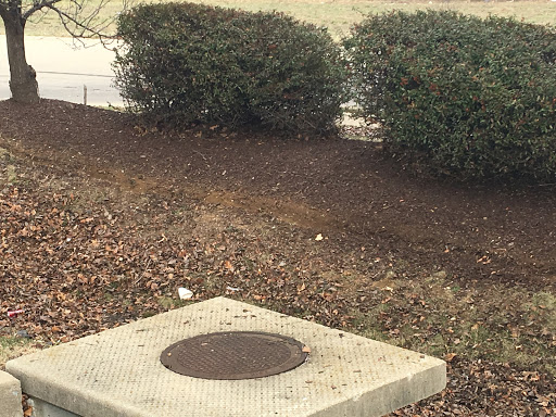 Oil Change Service «Jiffy Lube», reviews and photos, 11 Jiffy St, Wentzville, MO 63385, USA