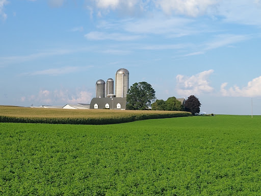 Grocery Store «Country View Grocery», reviews and photos, 1941 Horseshoe Pike, Annville, PA 17003, USA