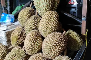 Durian runtuh image