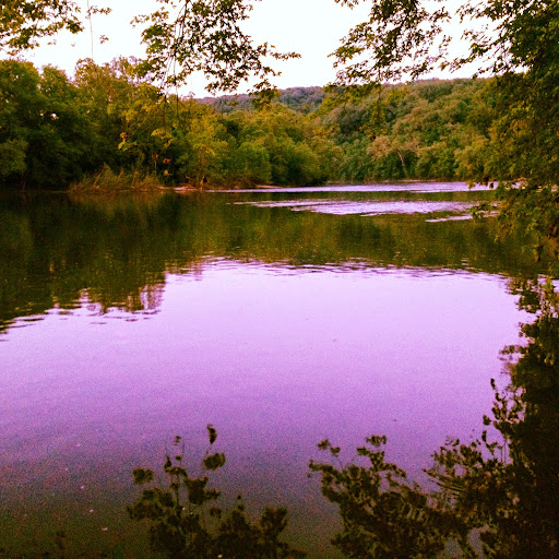 Nature Preserve «Shannondale Springs Wildlife Management Area», reviews and photos, Co Rte 9/5, Harpers Ferry, WV 25425, USA