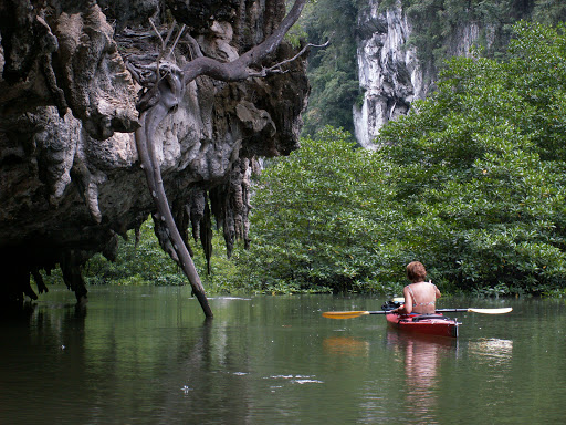 Paddle Asia