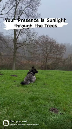 Vidéos hôtels Relais & Châteaux Gutshaus Stolpe 17391 Stolpe an der Peene