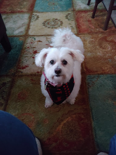 Pet Supply Store «Petco Animal Supplies», reviews and photos, 6631 Edwardsville Crossing Dr, Edwardsville, IL 62025, USA