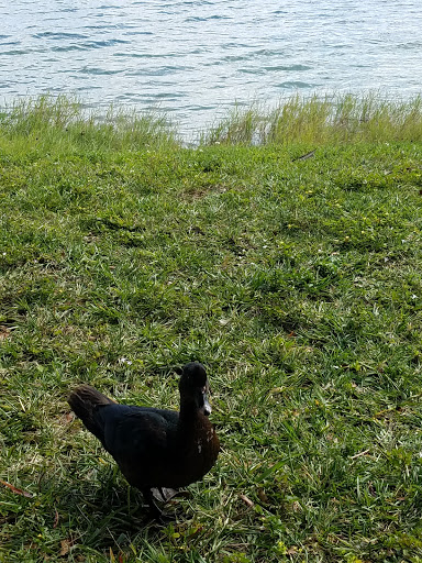 Park «Vizcaya Park», reviews and photos, 14200 SW 55th St, Miramar, FL 33027, USA