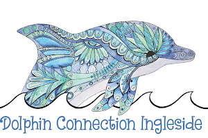 Dolphin Connection Ingleside image