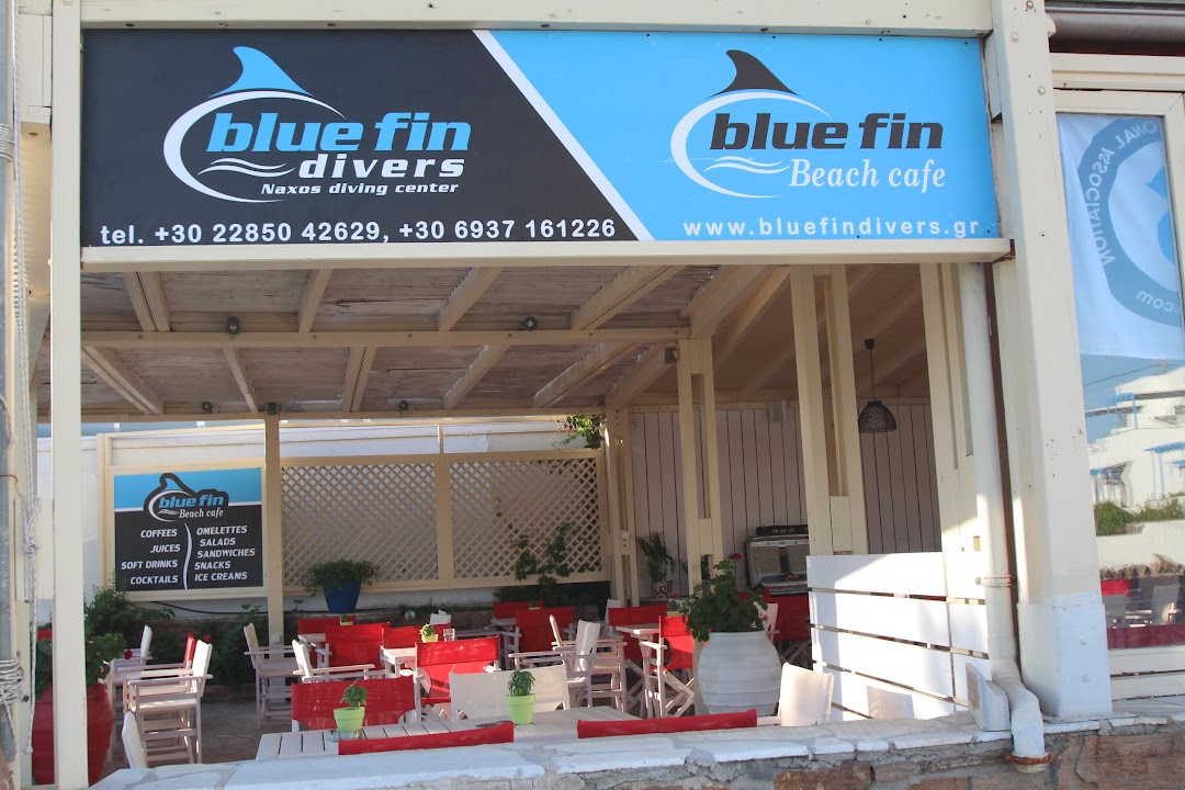 Bluefindivers Naxos Diving Center-Padi 5 Star IDC Resort