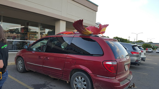 Pet Supply Store «Pet Supplies Plus», reviews and photos, 1791 W Columbia Ave, Battle Creek, MI 49015, USA