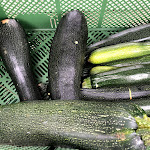 Photo n°5 de l'avis de Brain.o fait le 19/09/2021 à 17:51 sur le  Entenwerder1 à Hamburg