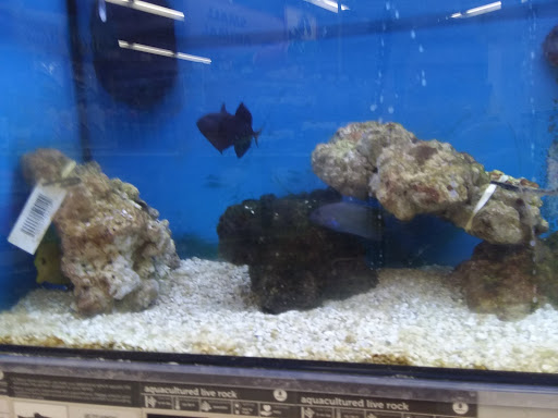 Pet Supply Store «Petco Animal Supplies», reviews and photos, 5047 E Marketplace Dr, Flagstaff, AZ 86004, USA