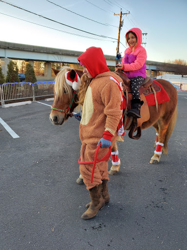 Fence Contractor «Fence & Deck Connection, Inc.», reviews and photos, 8057 Veterans Hwy, Millersville, MD 21108, USA