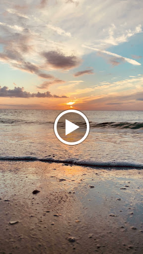 Surf Shop «Suncoast Surf Shop», reviews and photos, 9841 Gulf Blvd, Treasure Island, FL 33706, USA