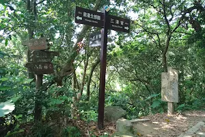 Taoyuanli Forest Trail image