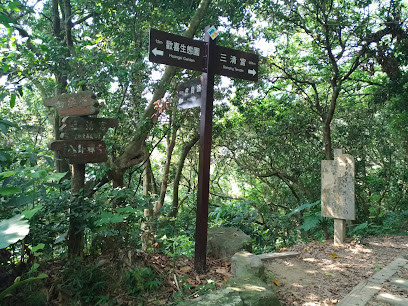 Taoyuanli Forest Trail
