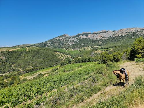 Les Écuries de Vela - Lafare à Cheval à Lafare