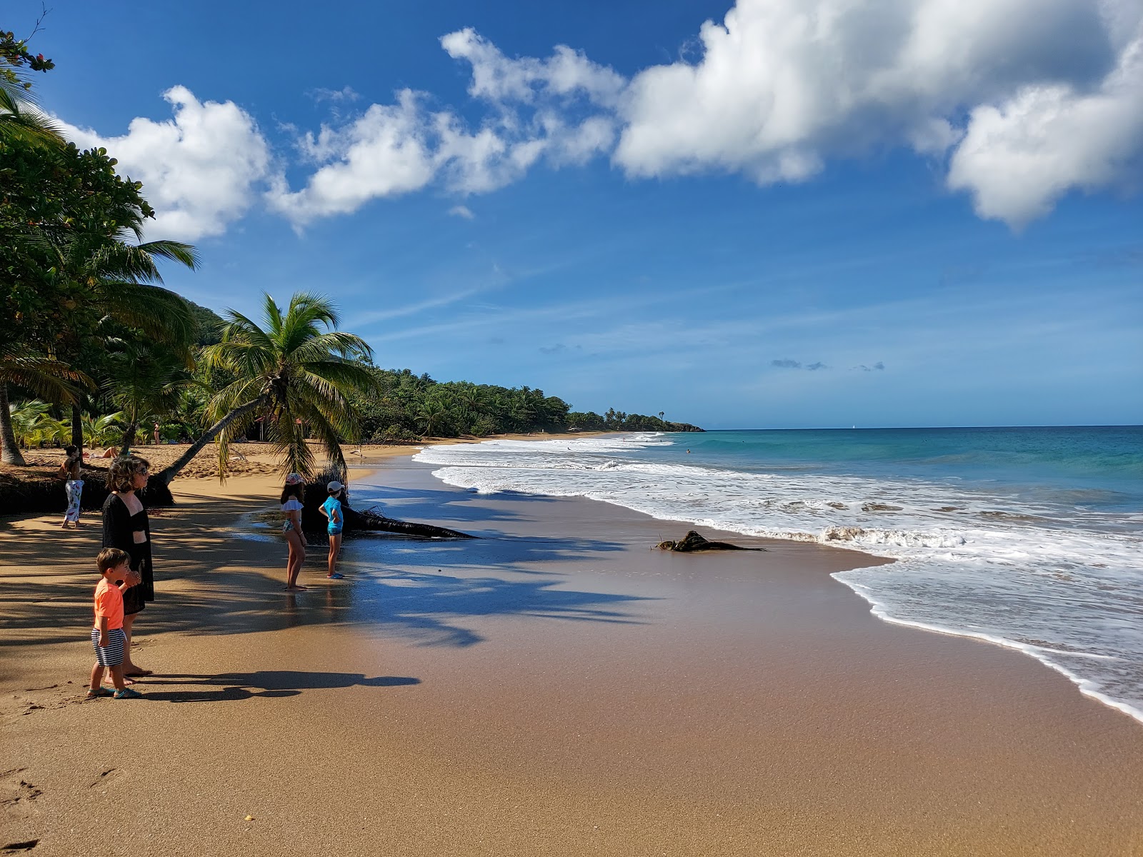Plage de la Perle photo #7