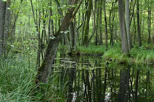 Naturpark Barnim image