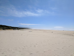 Wakonda Beach'in fotoğrafı - rahatlamayı sevenler arasında popüler bir yer