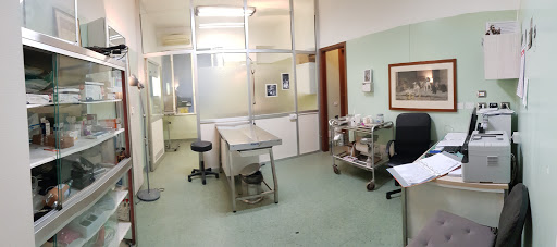 Pensioni per cani e dog hotel a First Aid - Clinica Veterinaria M.Gioia - Dr.Cribiori