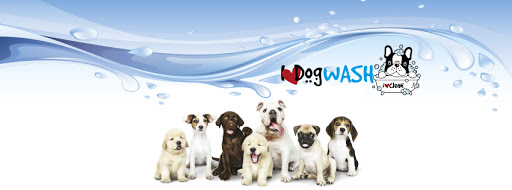 I Love Dog Wash Las Rozas Autolavado y tienda de Mascotas