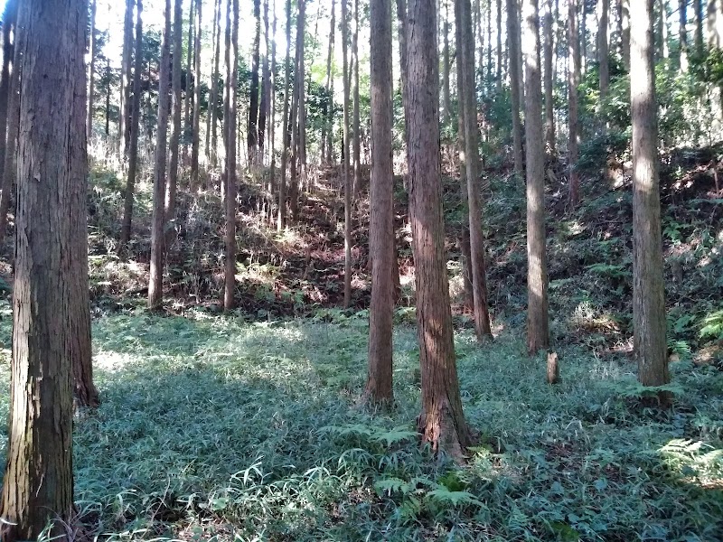 永井氏城跡