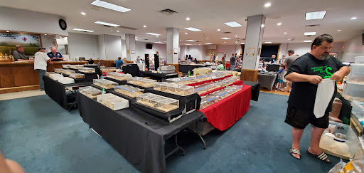 Glass City Exotics Expo