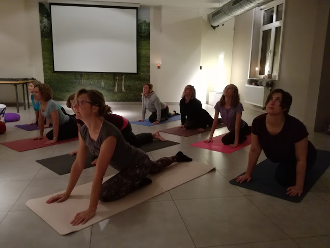 Beoordelingen van Praktijk Adamas, vind rust en vitaliteit in Aarschot - Yoga studio