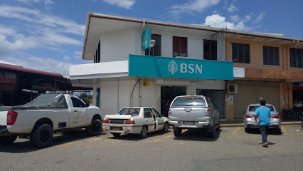 Bank BSN