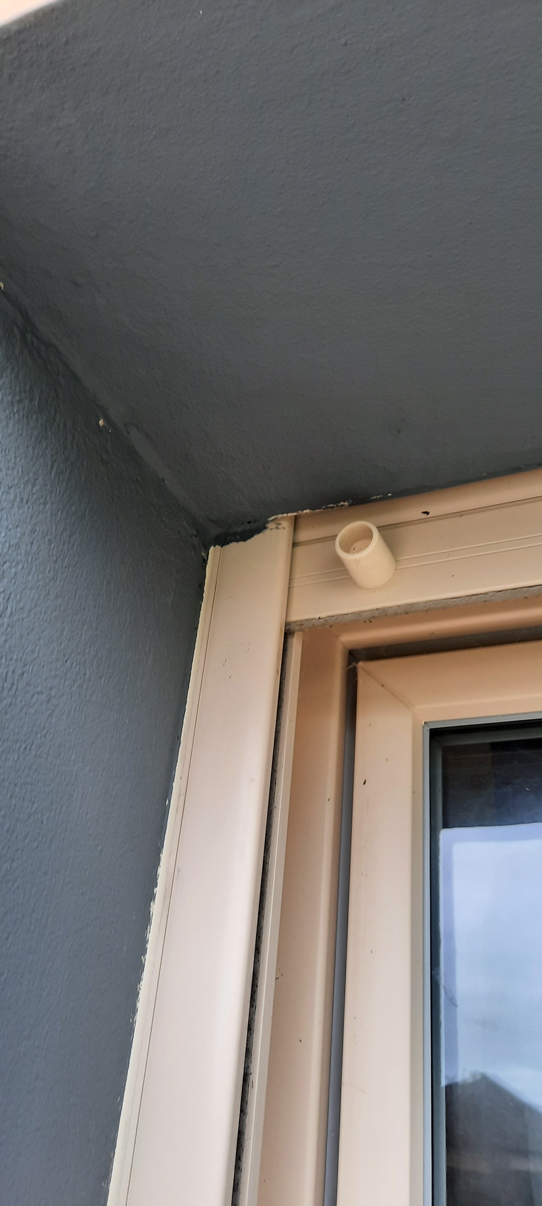 Photo n° 4 de l'avis de M.i fait le 28/03/2024 à 07:12