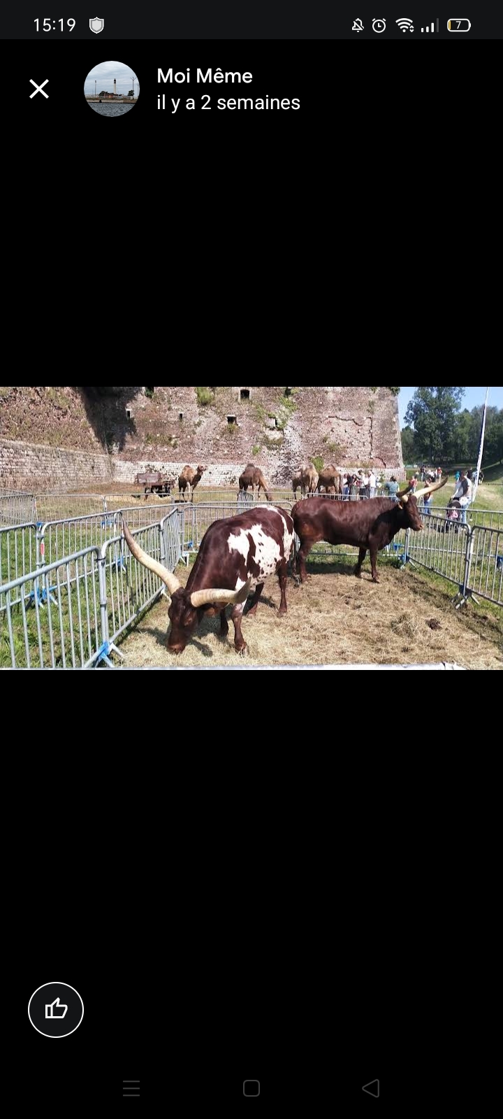 Photo n° 7 de l'avis de Moi.� fait le 16/06/2023 à 13:22