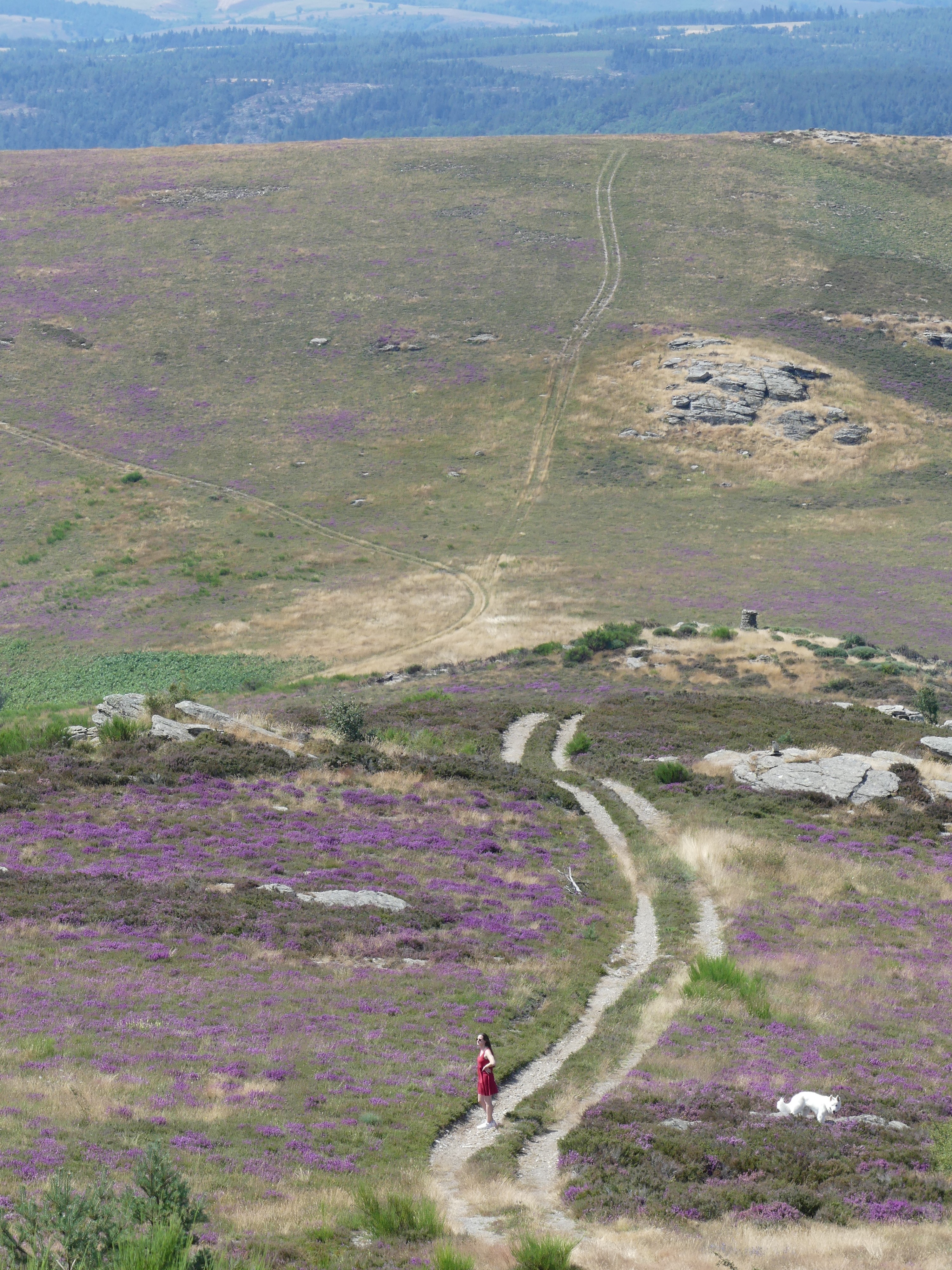 Photo n° 2 de l'avis de Yannis. fait le 31/07/2023 à 16:36